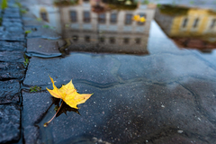 Jesenné zátišie...