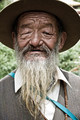Tibetsky starcek