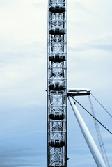 Eye