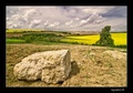 the rock :)