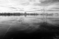 Silence