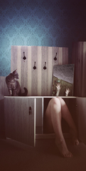 nohy mačka a zrkadlo