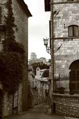 assisi