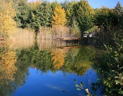 teich