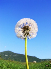 Posledná