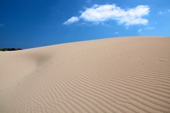 desert