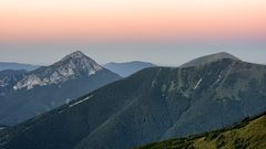 Bránica