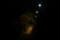 nocna cesticka I