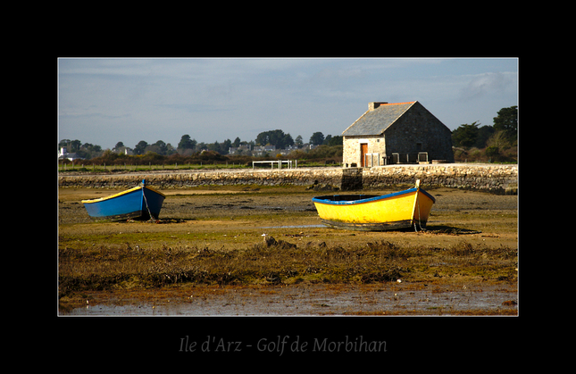 Ile d'Arz - Gold de Morbihan