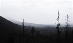 Mysterious Tatras