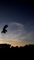 LE PARKOUR