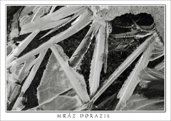 Mráz dorazil