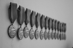 Air medal