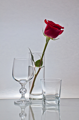 voda; sklo, a ruža...