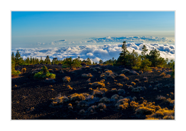 del Teide