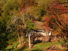 Jesenná