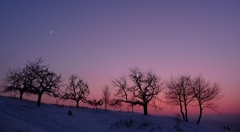 Stareny 