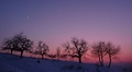 Stareny 