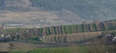 Podhorské polia