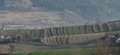 Podhorské polia
