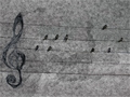 melodia prirody