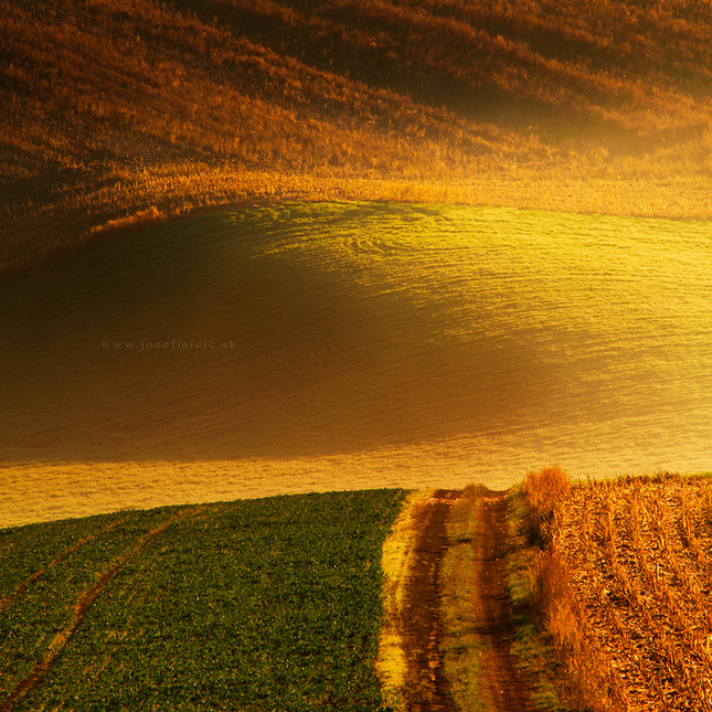 Zlatý horizont
