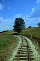 Oravska lesna železnica