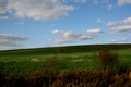Sloboda