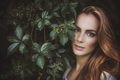 Bella III