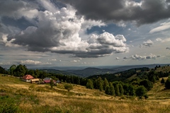 Leto na Lazoch.