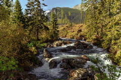 Tatry