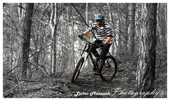 Rider