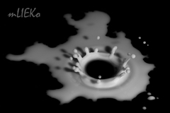 mLIEKo