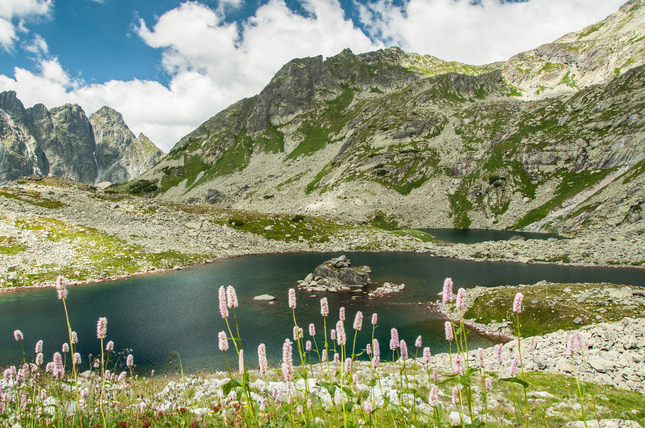 Veľké a Malé Žabie pleso