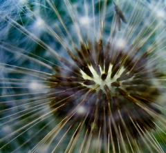 taká abstraktná trošku :)