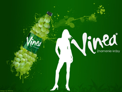Vinea
