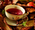 autumn in the making...