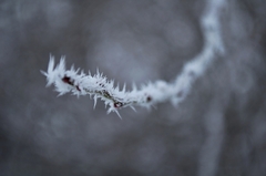 winter romance