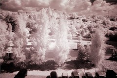 InfraRed