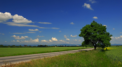 Jarná krajina