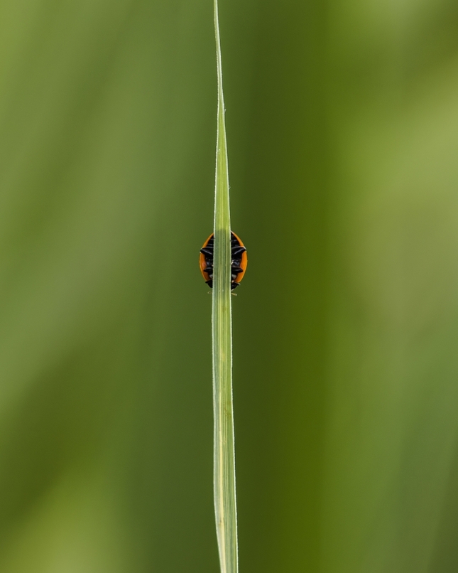 Nechcem vás vidieť!