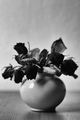Broken flowers