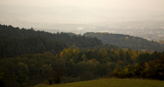 sobotné svieže ránko