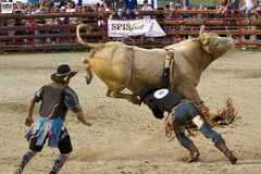 Bull riding