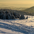 Kojšovské prebúdzanie