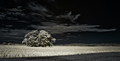 na rovine  _III___