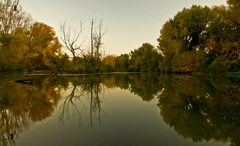 jeseň na Malom Dunaji I.