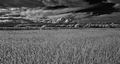 u nás na rovine