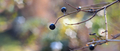 f5.6