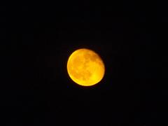 Orange Moon II.